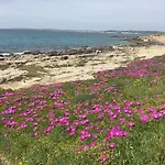 Da Thesi Lejlighed Gallipoli