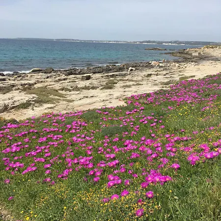 Da Thesi Daire Gallipoli